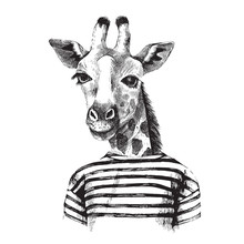 Hand Drawn Illustration Of Giraffe Hipster