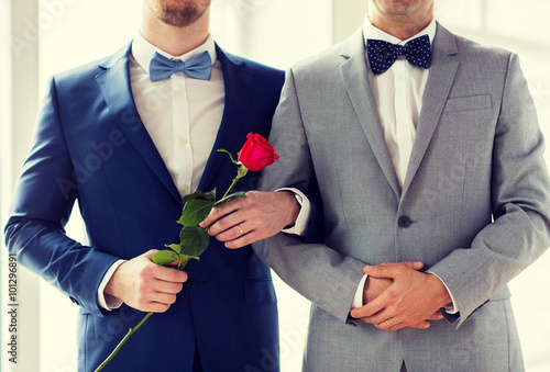 Fotografie, Obraz close up of happy male gay couple holding hands