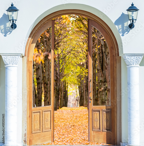 Naklejka dekoracyjna open door with a view meadow illuminated by bright sunshine