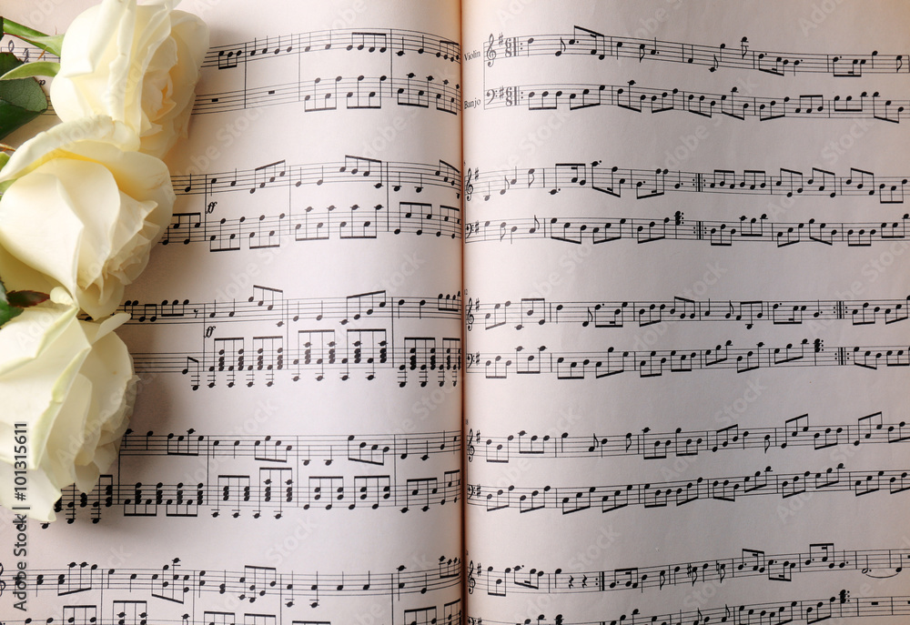 Beautiful rose on music sheets background