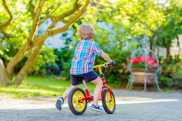 kid boy driving tricycle or bicycle in garden