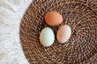 © speedoflife - Free Range Eggs