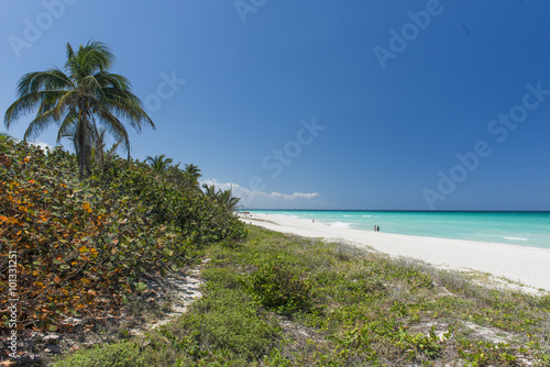 Naklejka na kafelki Beach on Caribbean island with palm tree