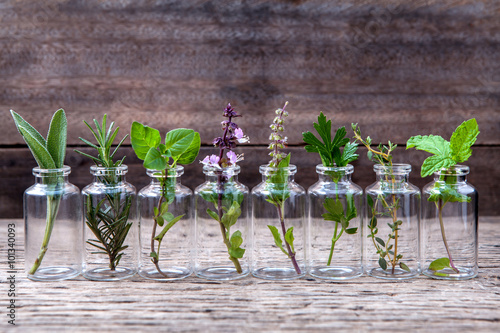 Fotografía Botella de aceite esencial con hierbas Santa flor de albahaca, albahaca flujo