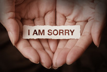I Am Sorry Text On Hand