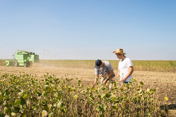 farmers in soybean fields