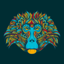 Colorful Baboon Monkey Face Doodle