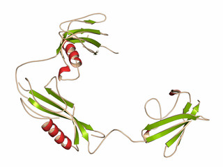 Sticker - Streptokinase enzyme molecule. 