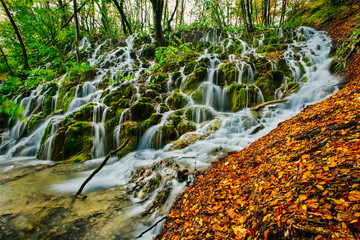 Wall Mural - Beautiful waterfall hidden in the woods, in Plitvice