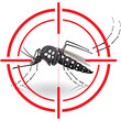 Nature, Aedes aegypti mosquitoes with stilt target. sights signal