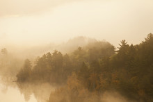 Pines And Aspens In Morning Fog On Boundary Waters Lake