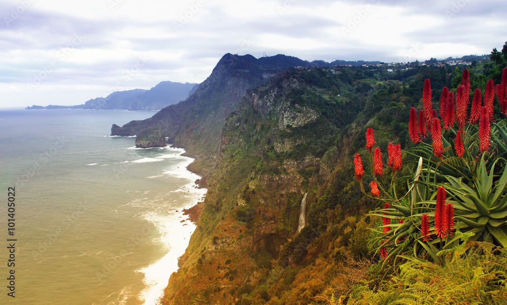 View over the north coast of Madeira, with red-hot Aloe Vera in the  foreground. (Santana on Madeira) Stock Photo | Adobe Stock