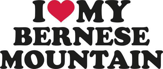 Canvas Print - I love my Bernese mountain