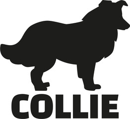 Poster - Collie with breed name