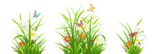 Spring Grass, Flowers And Butterflies,  Vector Illustration Set