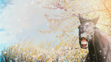 Fototapeta Konie - Portrait of a horse with a smile on background of spring blossom nature