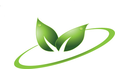 green leaf logo on white background
