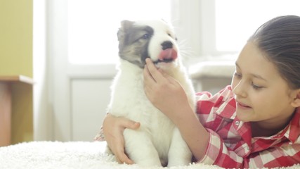 Poster - little girl and puppy Shepherd