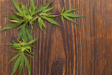 Poster - Wooden cannabis background.