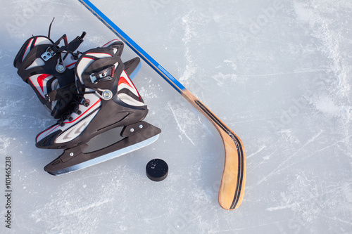 Zdjęcie XXL Hokej na lodzie.