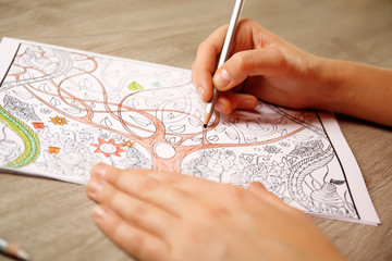 Sticker - Adult antistress colouring book with pencils