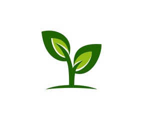 Wall Mural - Plant logo