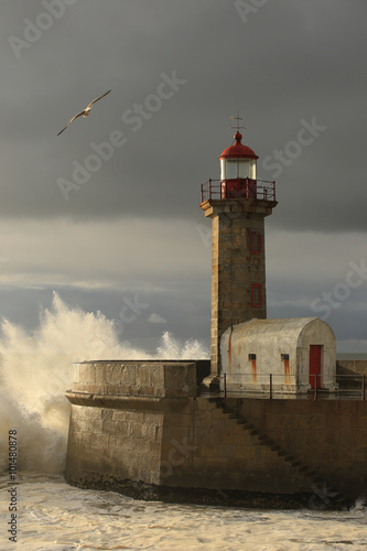 Fototapeta na wymiar Seagull, wave and lighthouse