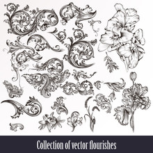 A Collection Or Set Of Vintage Styled Flourishes  Filigree Drawn