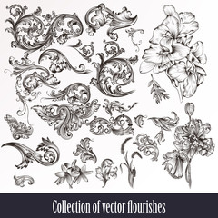 Wall Mural - A collection or set of vintage styled flourishes  filigree drawn