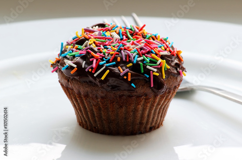 Sweet Chocolate Cupcake Close Up Of Chocolate Cupcake