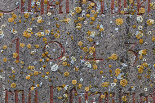 Poster Year 1943 carved in stone covering with moss