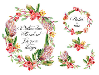 Watercolor floral set with protea, roses for your design.