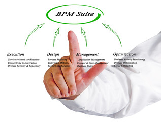 Canvas Print - Diagram of BPM Suite