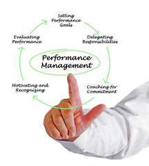 Canvas Print - Performance Management