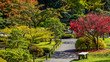 Japanese garden, Seattle