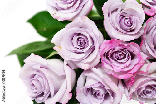 fioletowe-roze