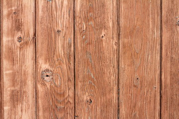 Wall Mural - beige painted weathered spruce planks texture