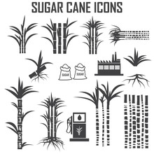 Sugar Cane Icons Vector.