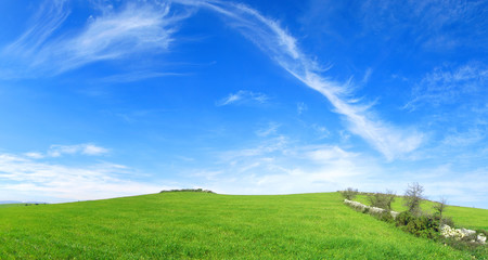 Wall Mural - Verde e Blu - Collina con dell'erba verde e un cielo azzurro con delle belle nuvole frastagliate