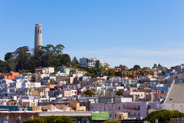 Wall Mural - Panorama and Coit Tower with San Francisco view