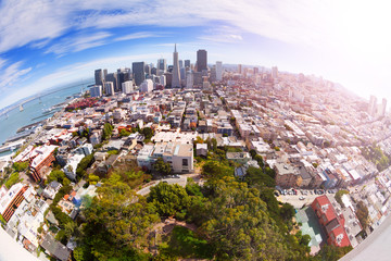 Wall Mural - Fisheye view of San Francisco panorama from hill