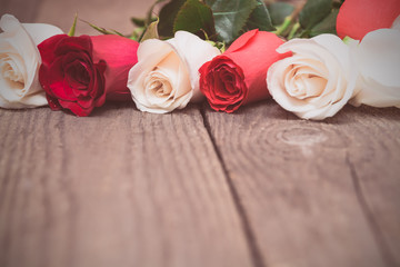 Red and white roses on wooden background. Women' s day, Valentin