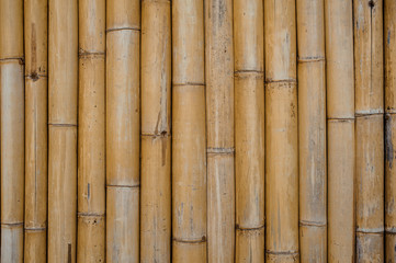  bamboo texture pattern backgroung horizontal