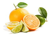 Fototapeta  - Fresh citrus fruits