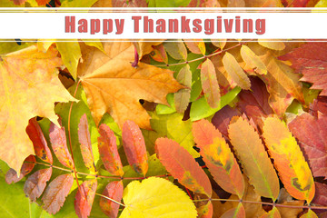 Wall Mural - Autumn leaves background and text Happy Thanksgiving