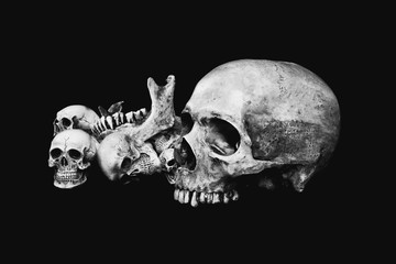 heads skull black background,monochrome, B&W