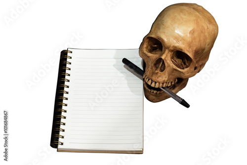 Fotografie, Tablou Skull note taking, isolate, Clipping path