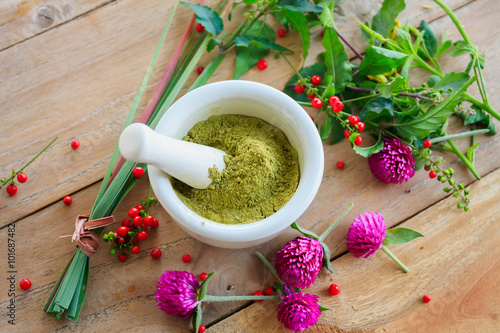 Fototapeta na drzwi i meble Fresh herbs powder in the mortar, alternative medicine