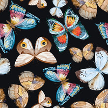 Watercolor Vector Butterfly Pattern