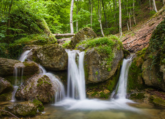 Wall Mural - waterfall in green forest